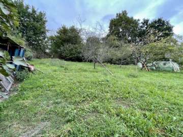 Jardín