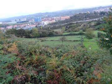 Vistas