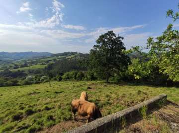 Vistas