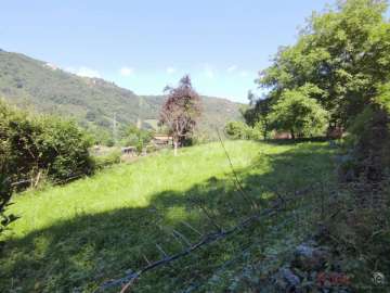 Jardín