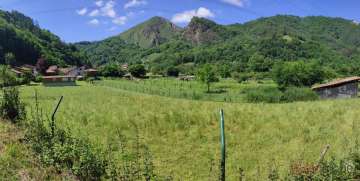 Vistas